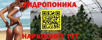 ПСИЛОЦИБИНОВЫЕ ГРИБЫ Апшеронск