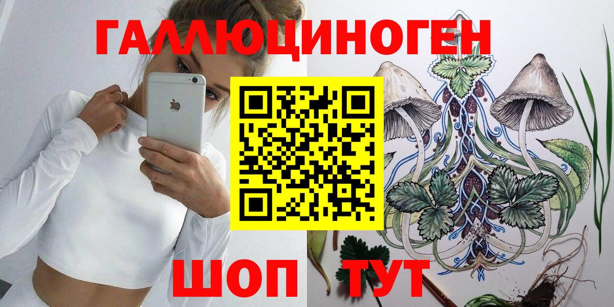 Псилоцибиновые грибы мицелий  Вход с VPN  где купить наркоту  Псилоцибиновые грибы Psilocybe  Вольск 