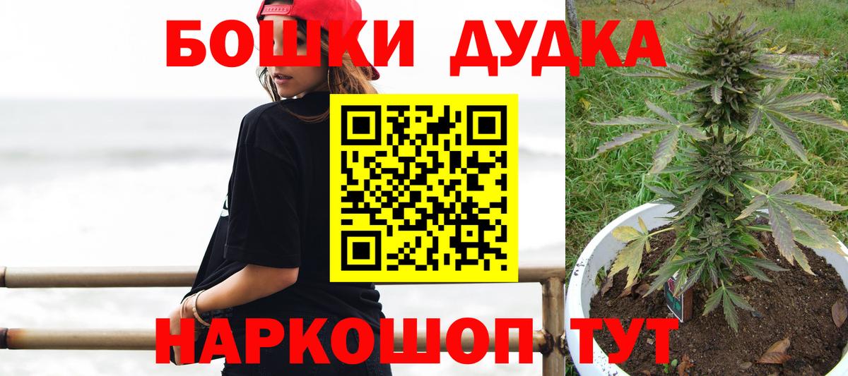 Шишки марихуана семена  Вход с VPN  Марихуана VHQ  Вольск 